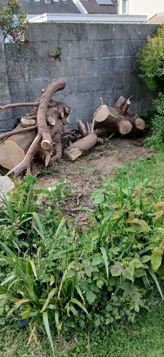 Free WOOD - Image 1