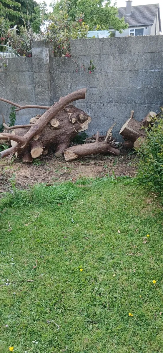 Free WOOD - Image 2