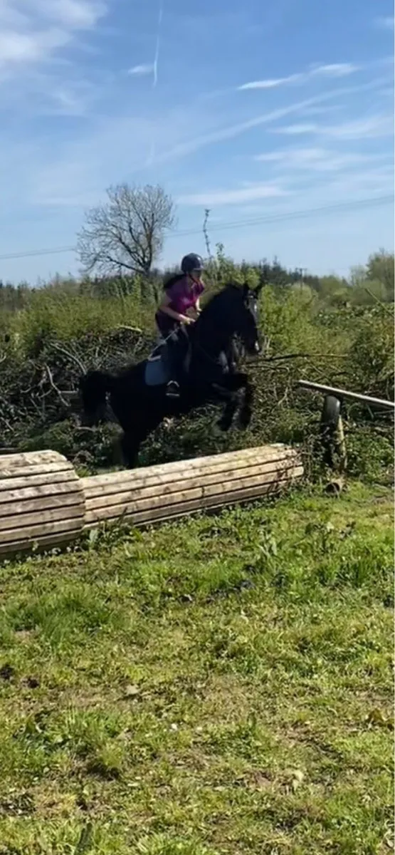 Riding school draught - Image 2