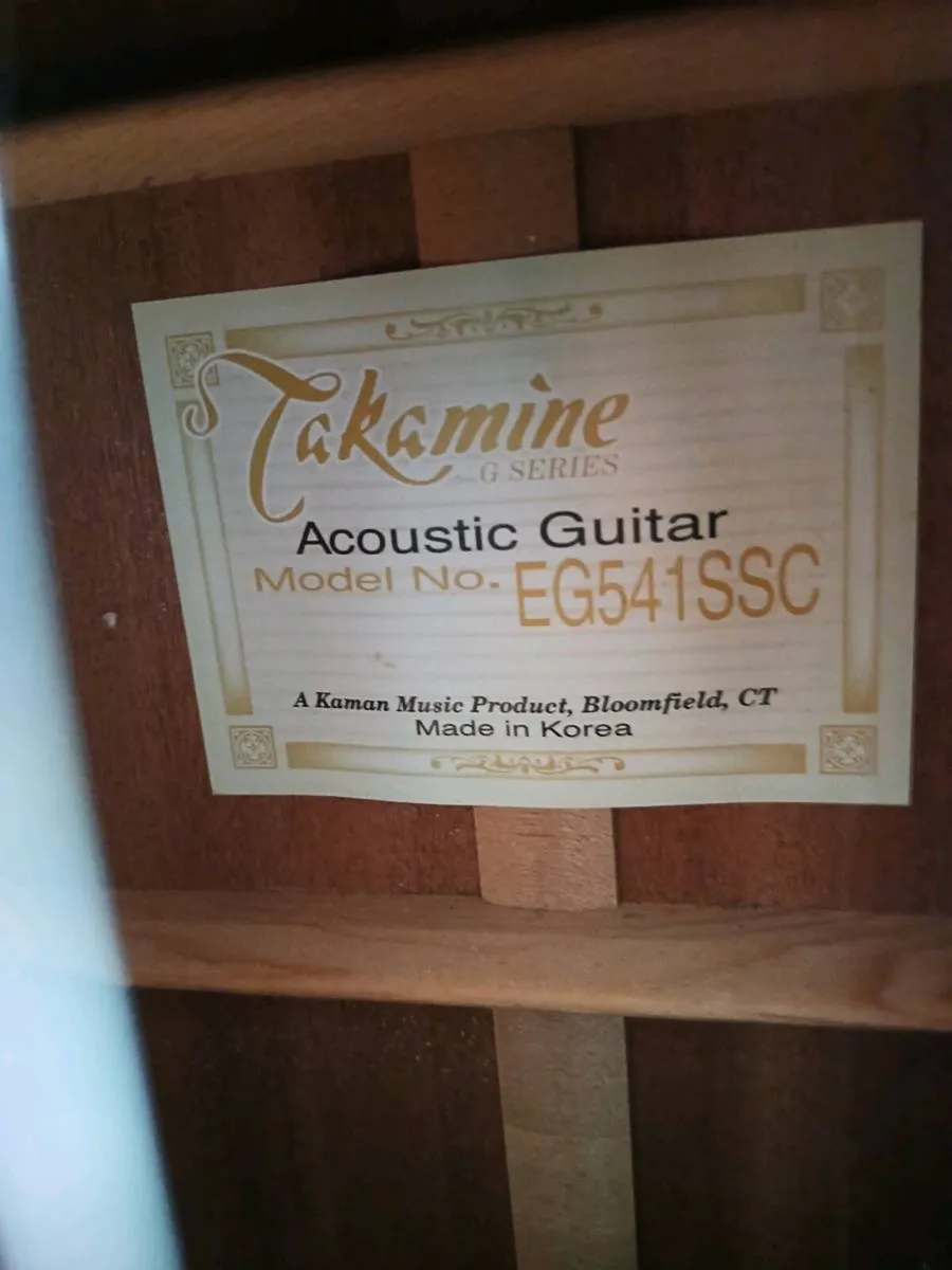 Takamine EG541 AAC and padded carry bag - Image 3