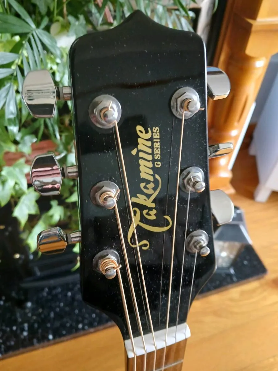Takamine EG541 AAC and padded carry bag - Image 4