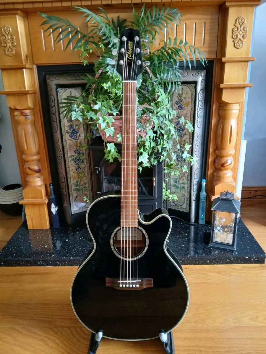 Takamine EG541 AAC and padded carry bag - Image 1