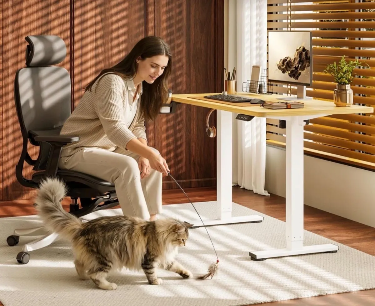 110 x 54 Electric Standing Desk ONE PIECE Height A - Image 2