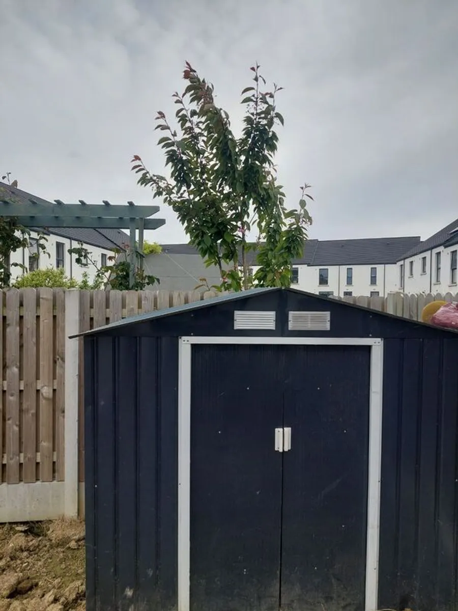 Metal Shed - Image 2