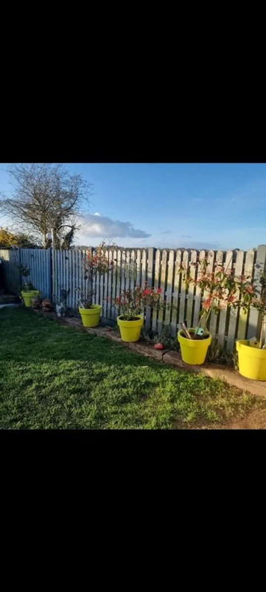 Fencing - Image 1