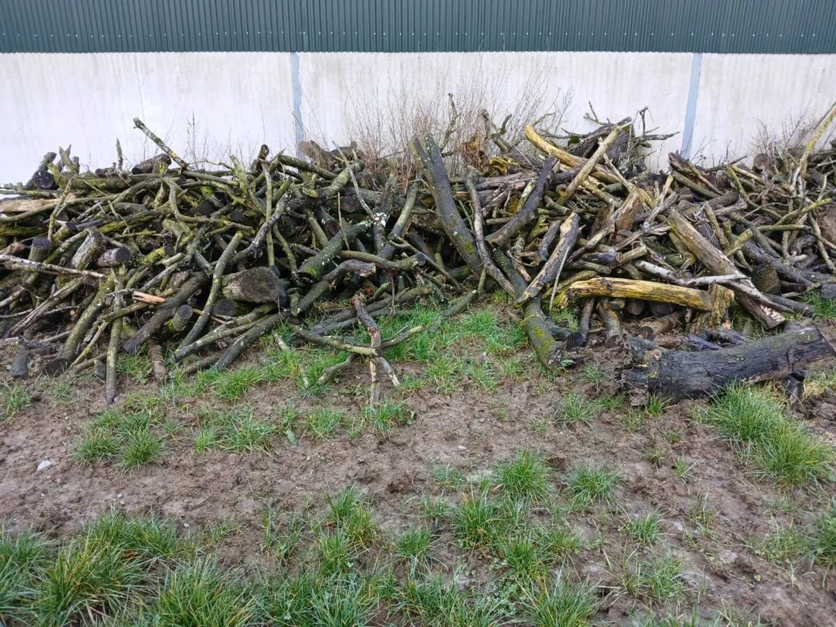 Timber - Image 2