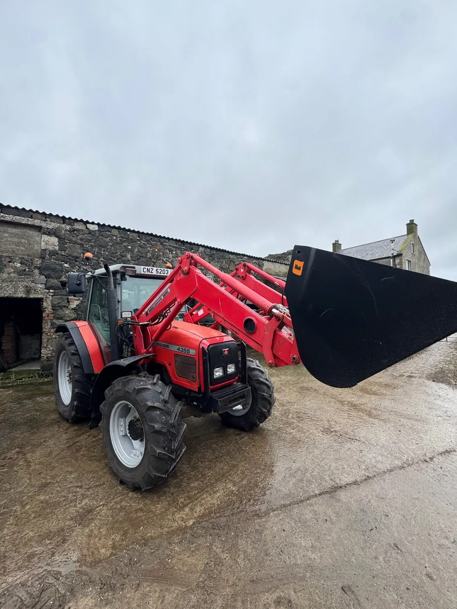2002 Massey Ferguson 4355 *no vat* - Image 1