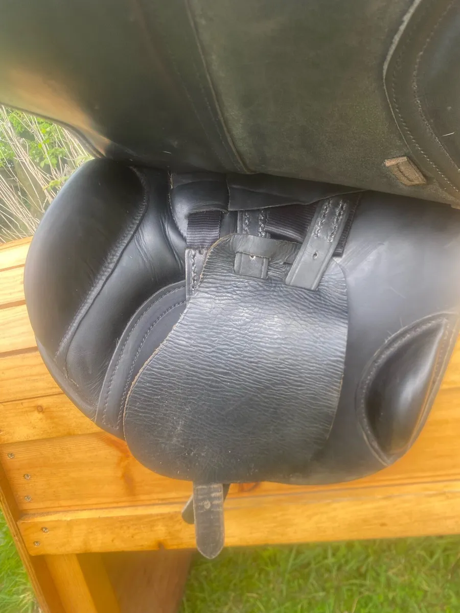 Albion K2 jump saddle TB tree - Image 2
