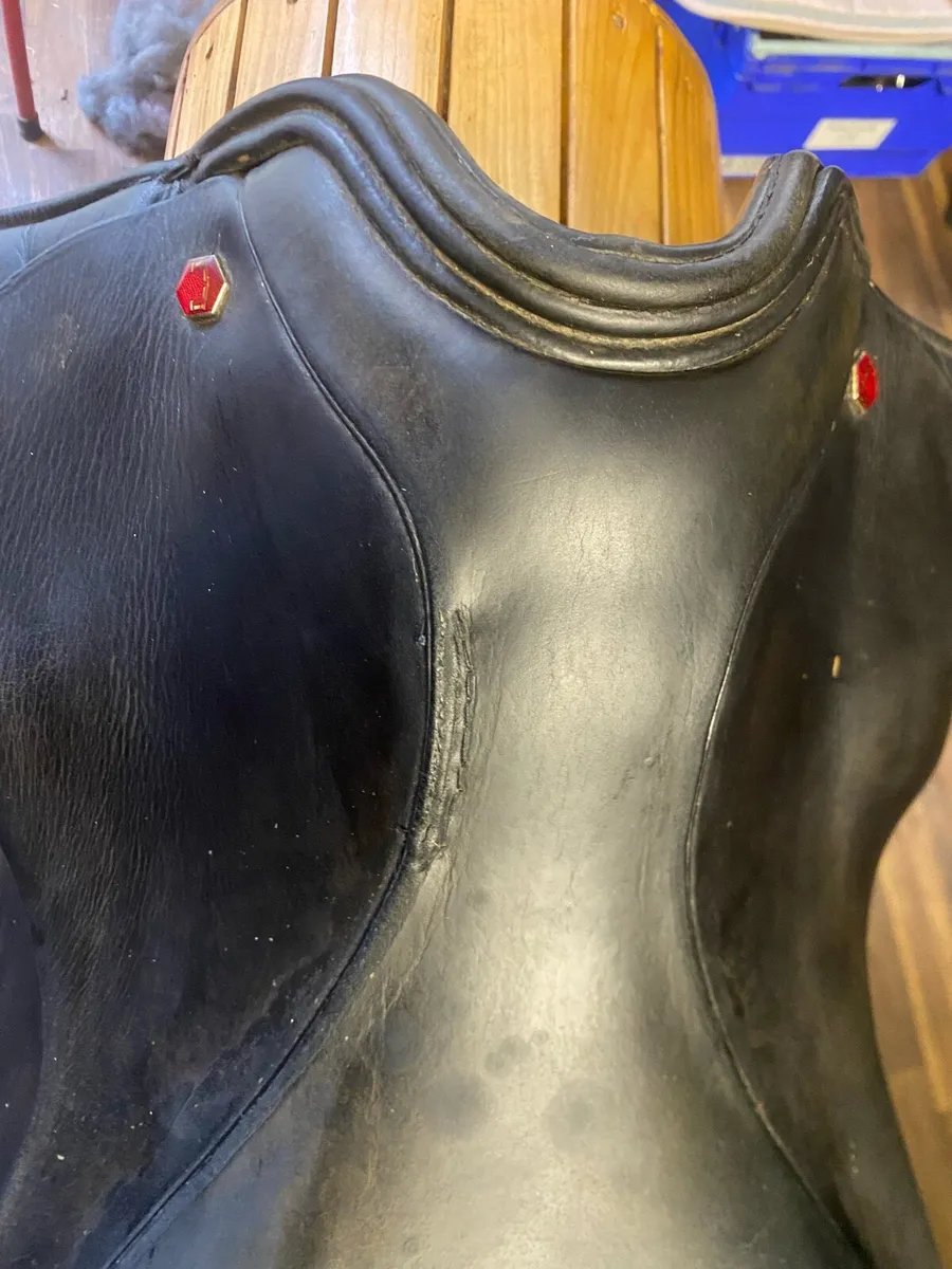 Albion dressage black Leather saddle - Image 4