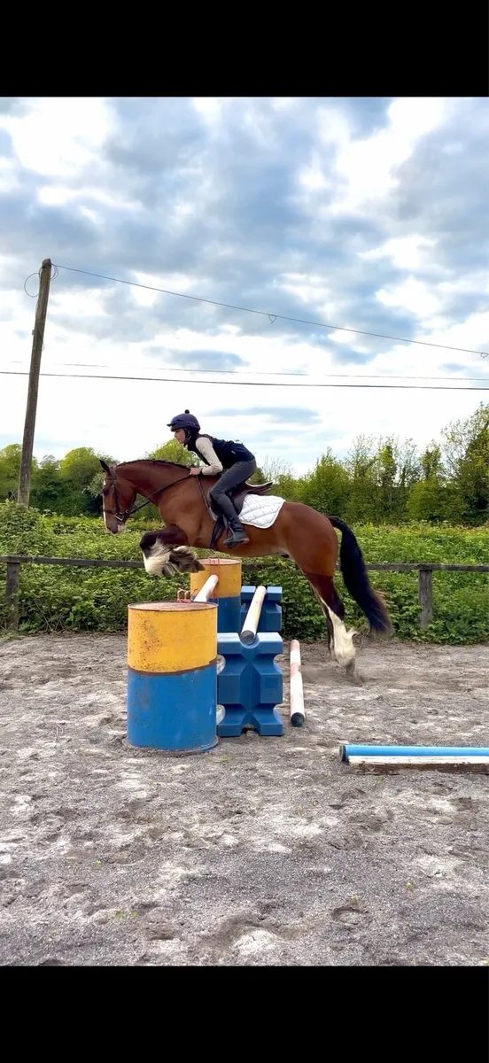 14.2h Ride & Drive cob - Image 2