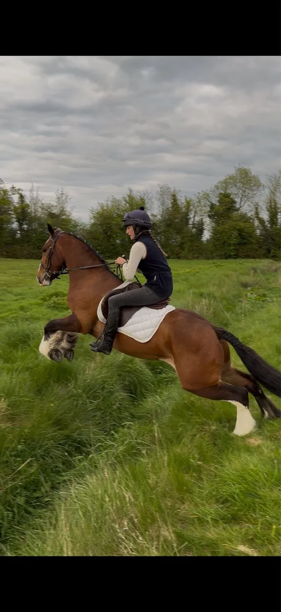 14.2h Ride & Drive cob - Image 3