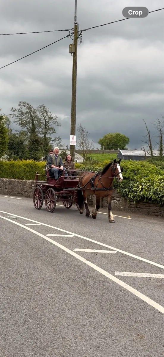 14.2h Ride & Drive cob - Image 4
