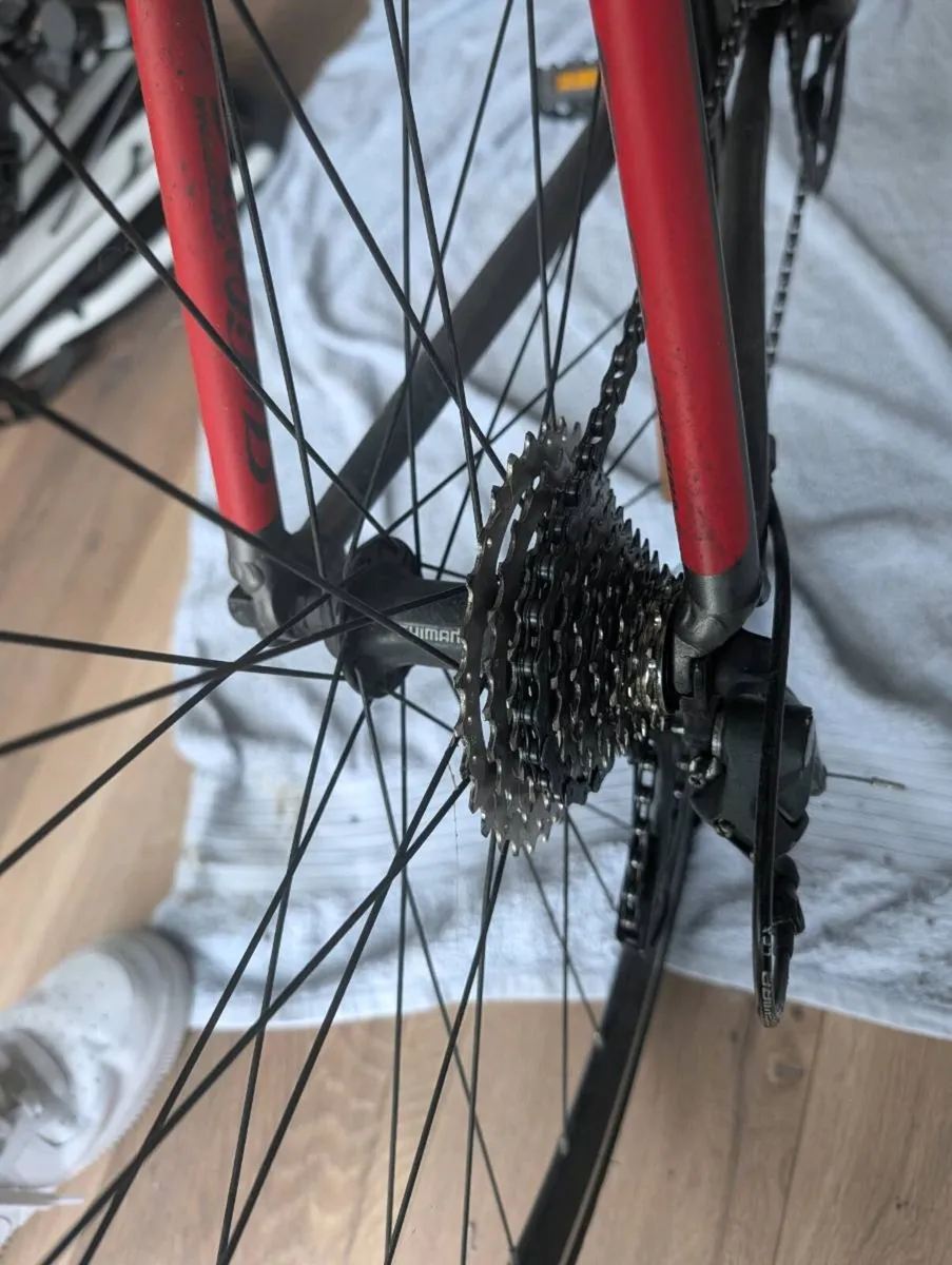 2021 Wilier Montegrappa 56cm Shimano 105 - Image 2