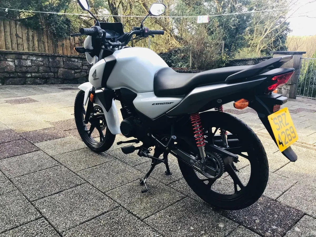 2021 Honda CBF 125 - Image 3