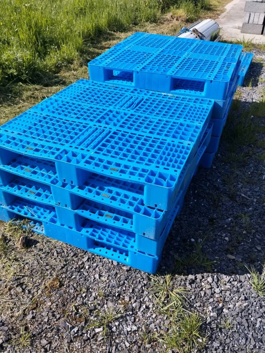 Plastic Pallets - Image 1