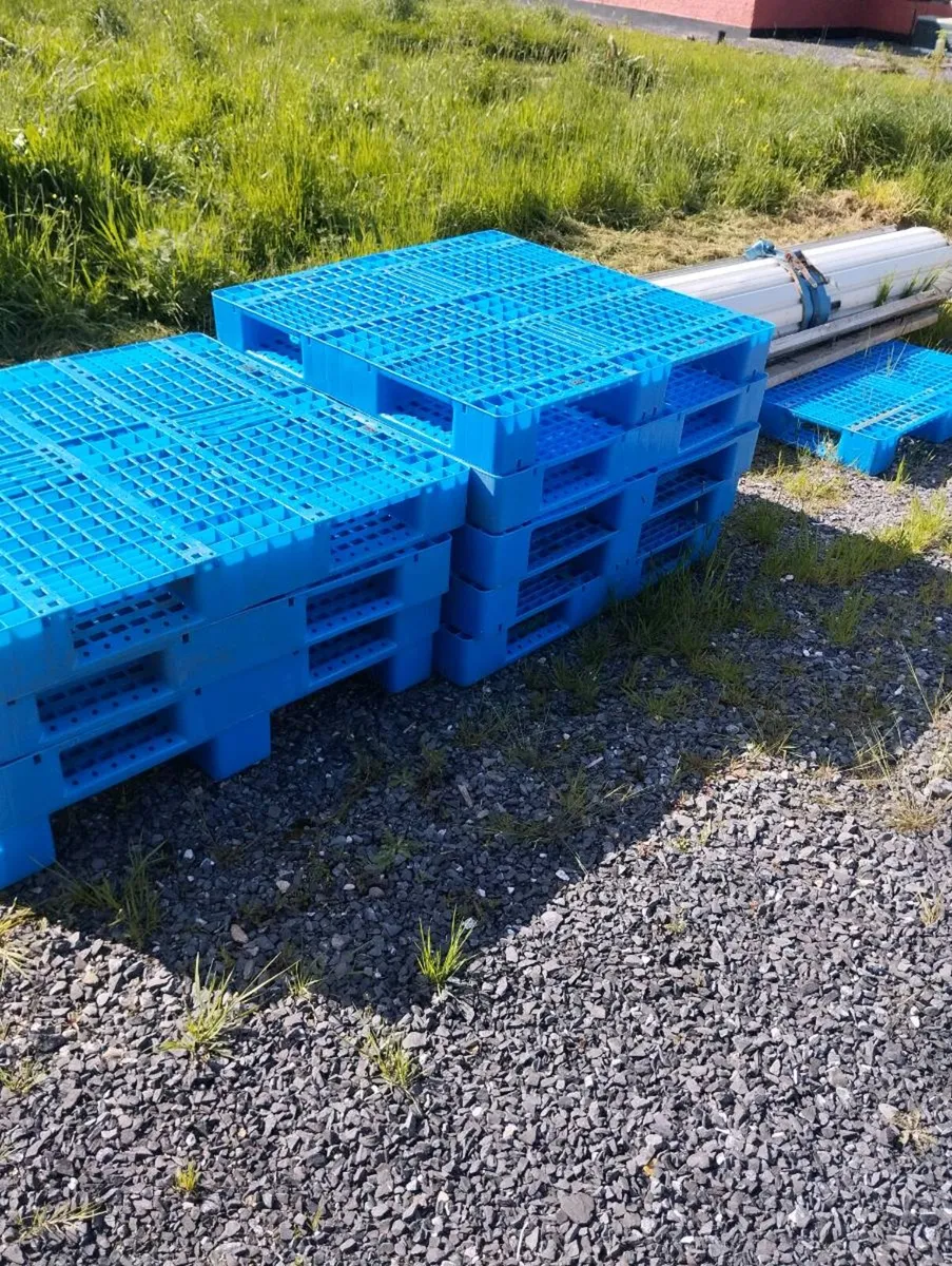Plastic Pallets - Image 2