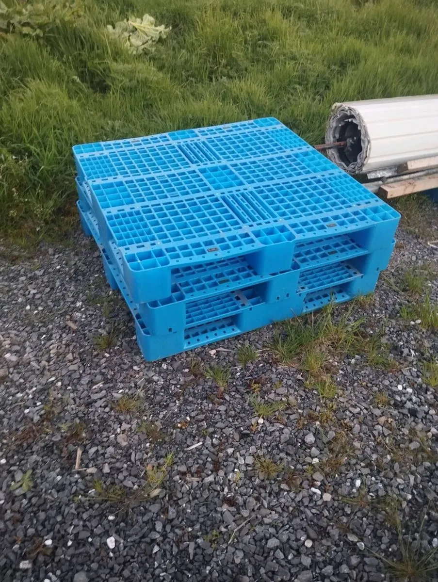 Plastic Pallets - Image 3