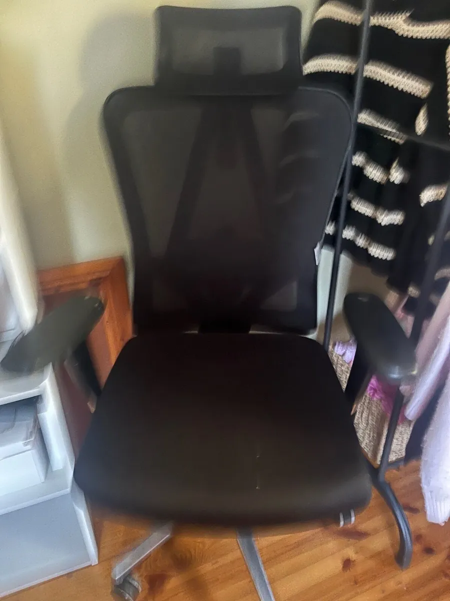 Ergonomic Chair - Image 1