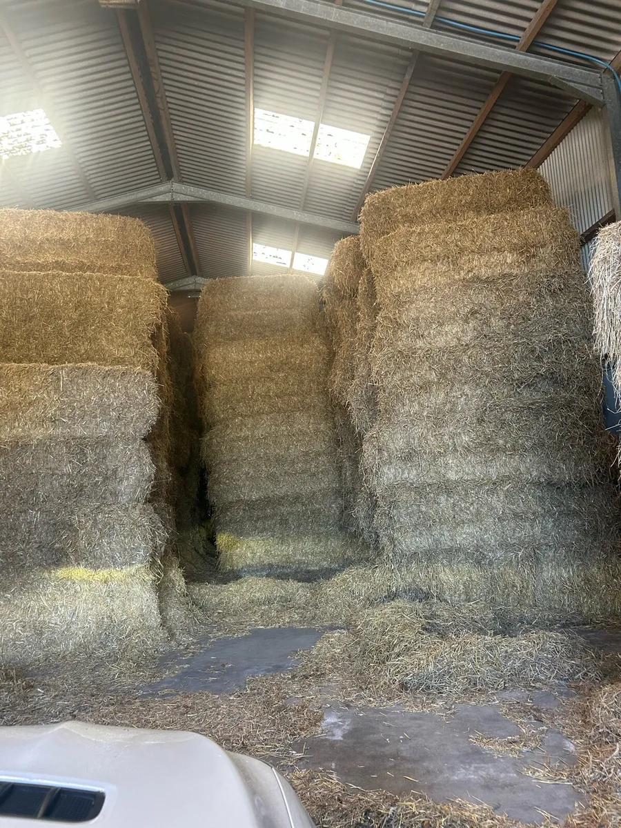Straw and hay