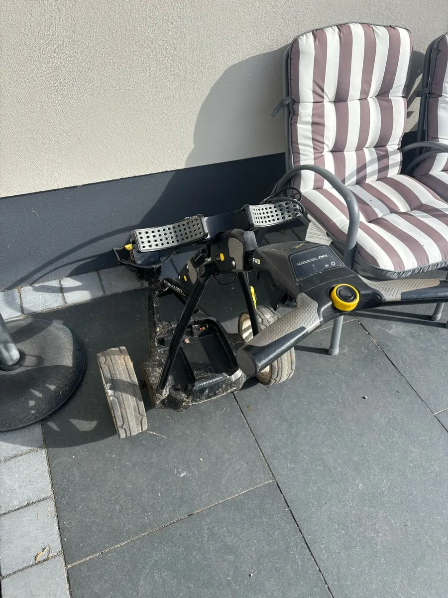 Electric power caddy - Image 1