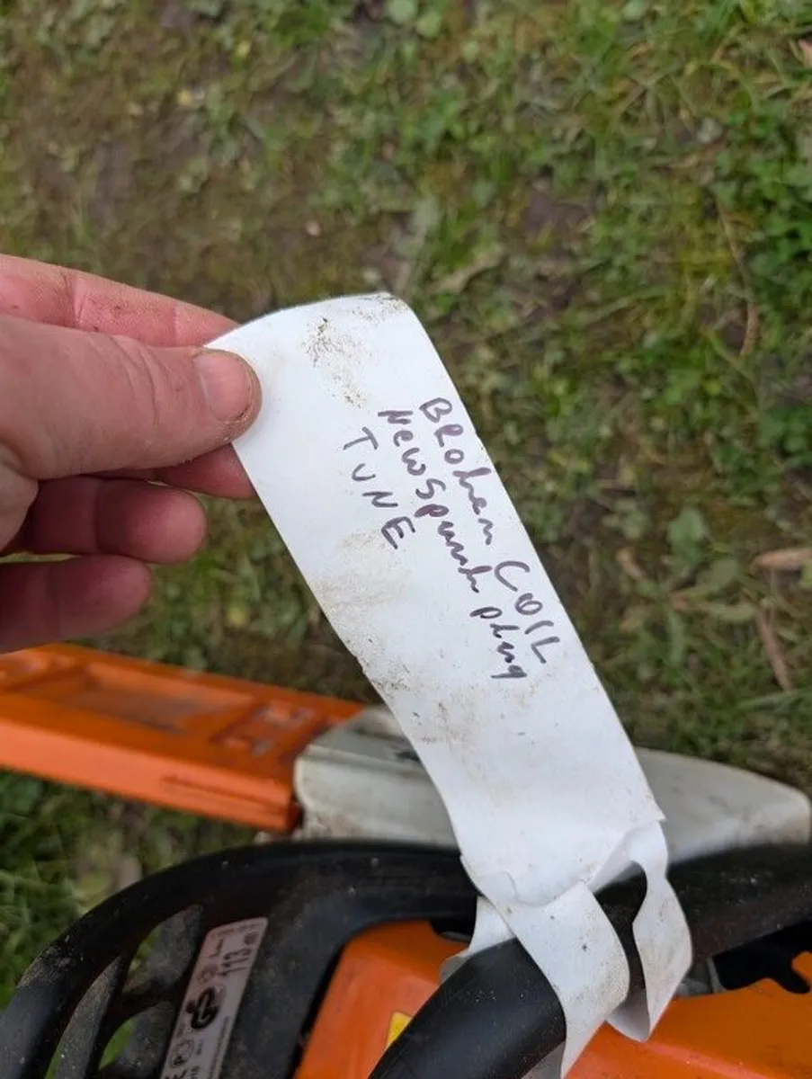 Chainsaw - Image 4