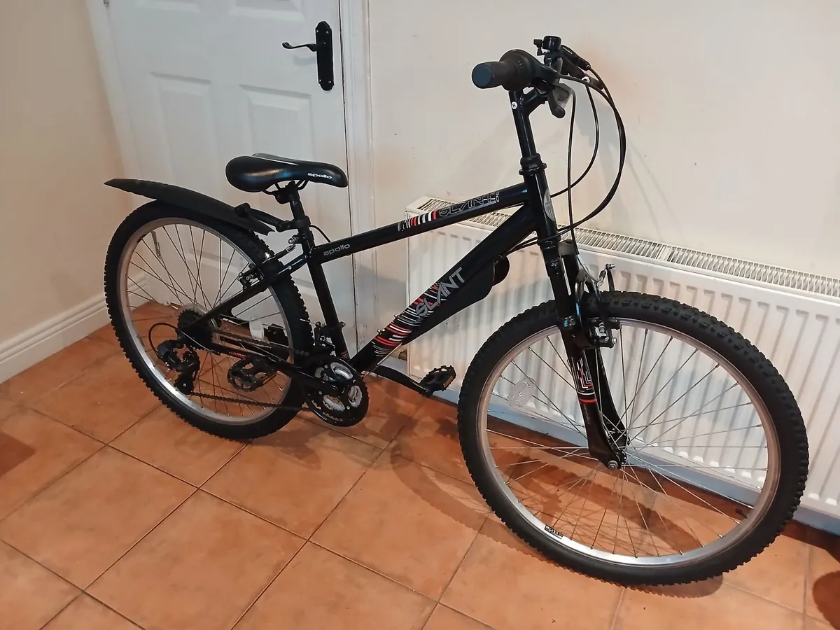 Bicycle - Image 1
