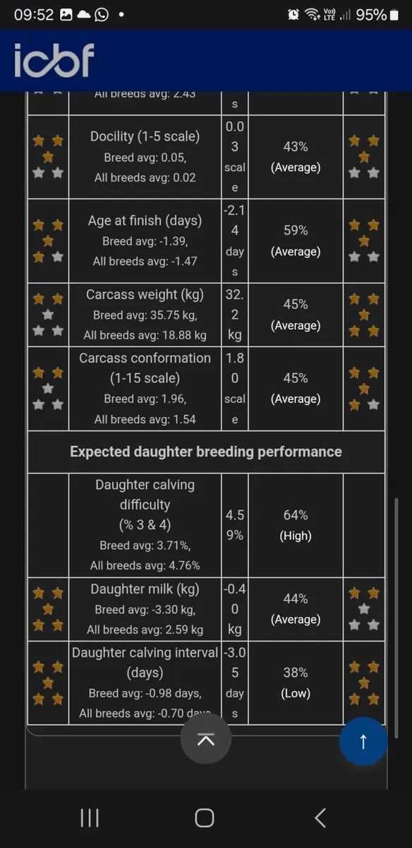 💥Easy Calving Double 5 Star Charolais Bull💥 - Image 2