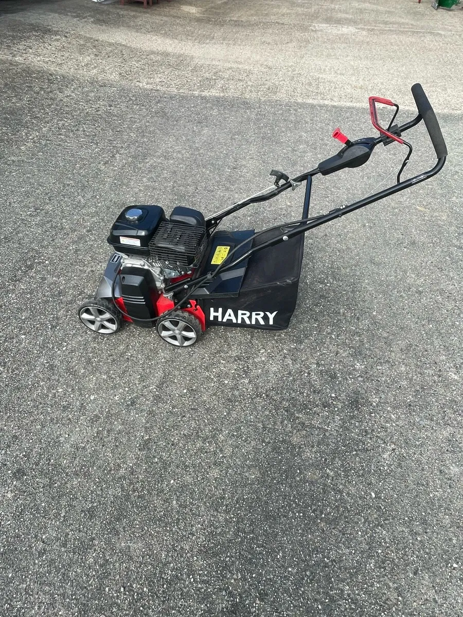 Harry Lawn scarifier - Image 1