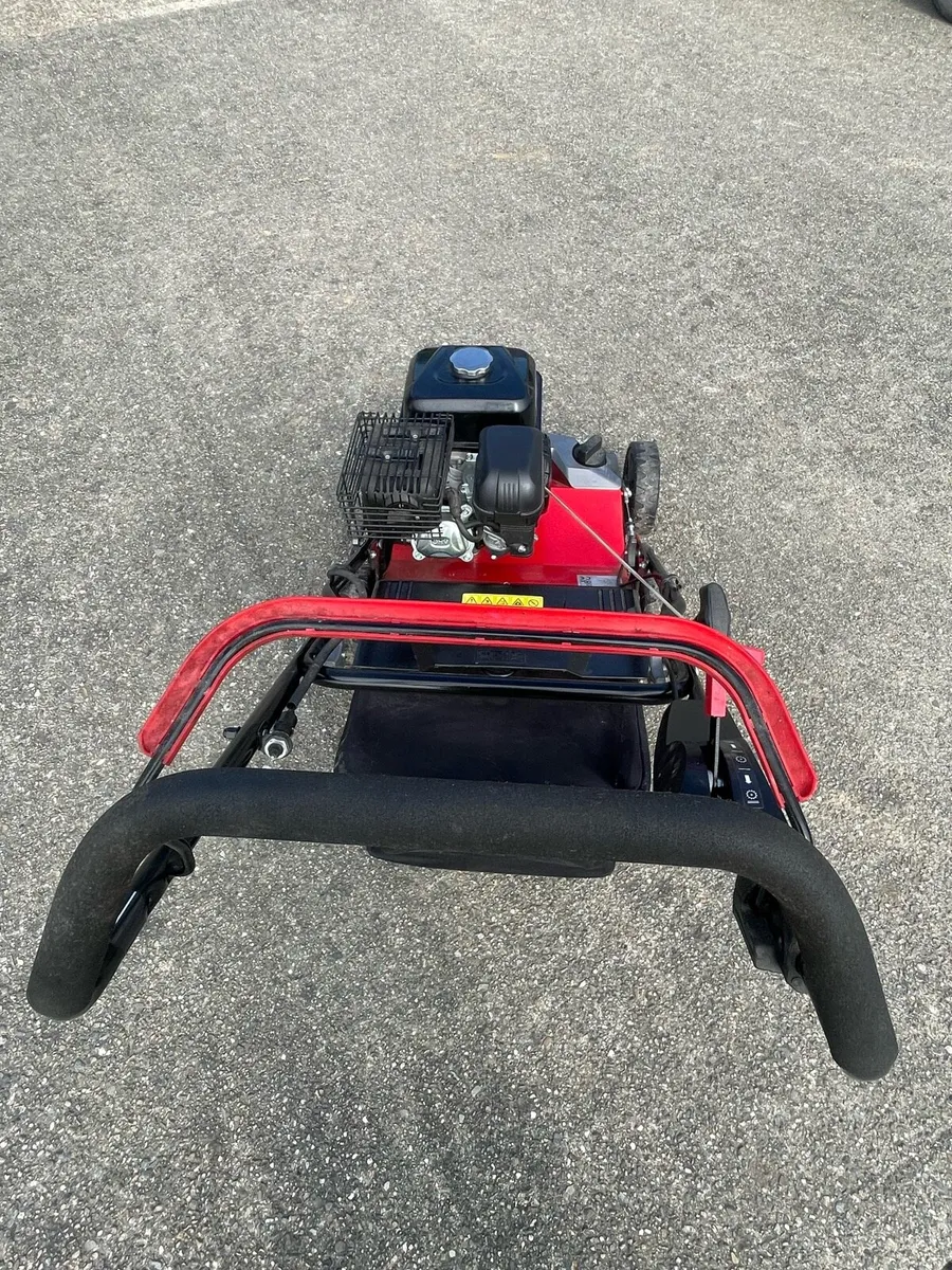 Harry Lawn scarifier - Image 4