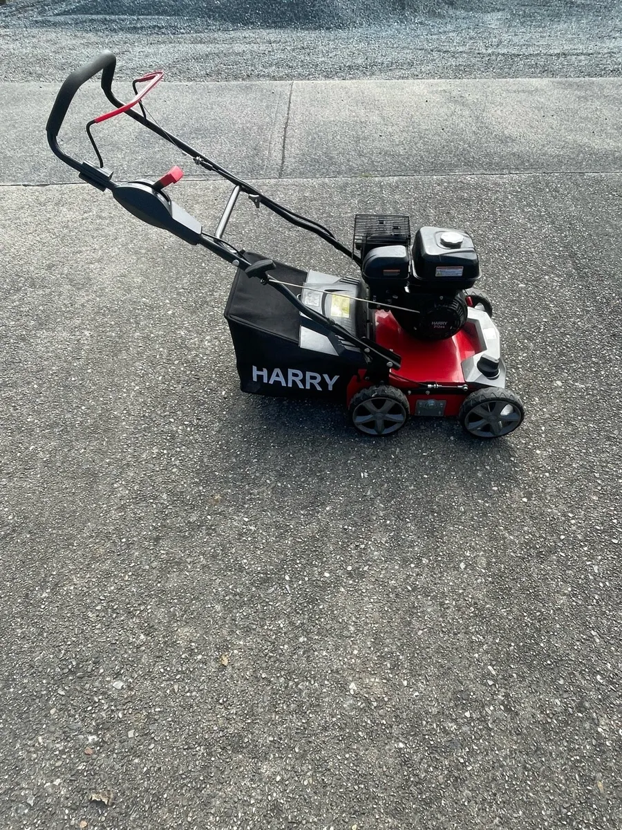 Harry Lawn scarifier - Image 2