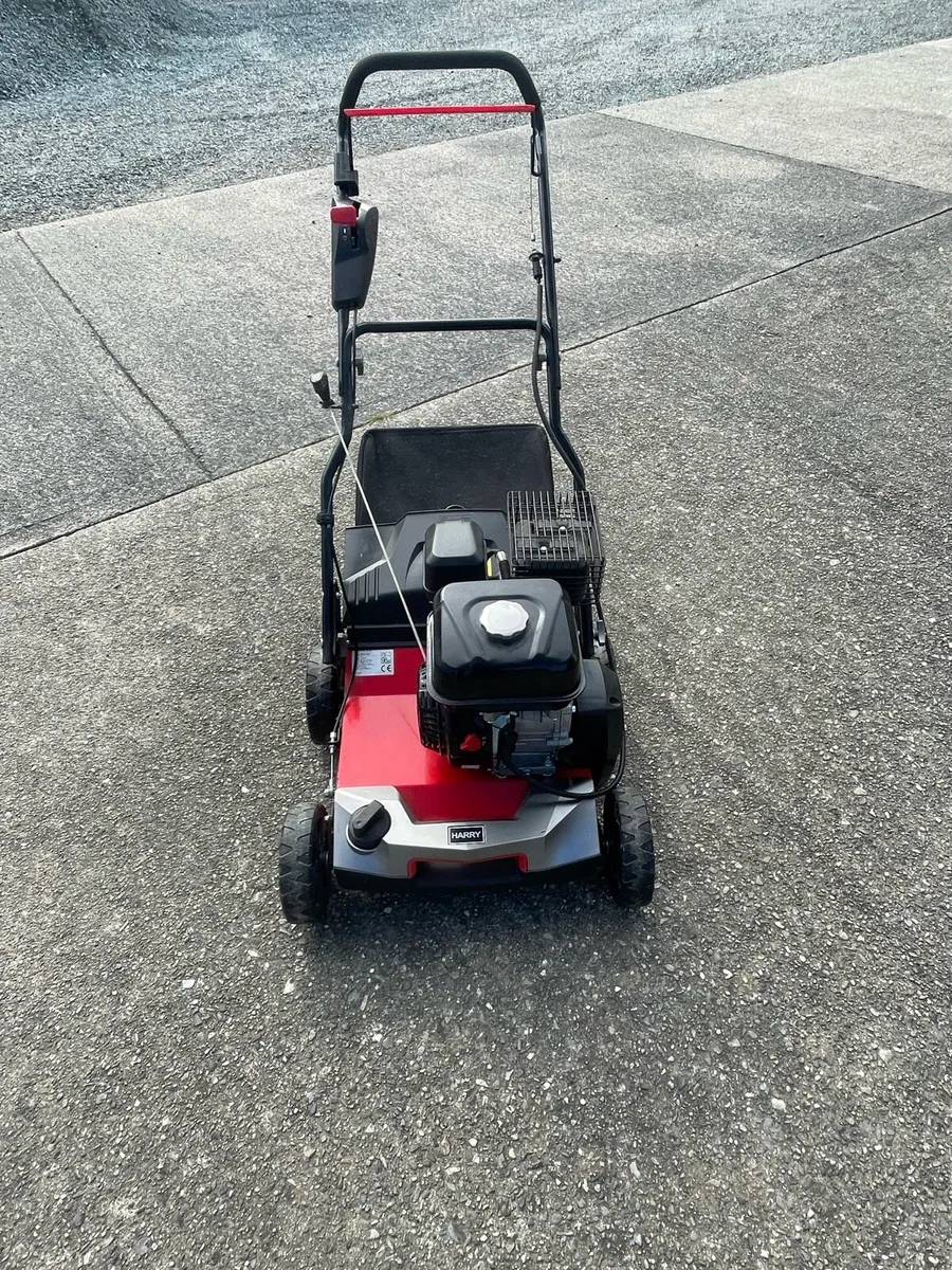 Harry Lawn scarifier - Image 3