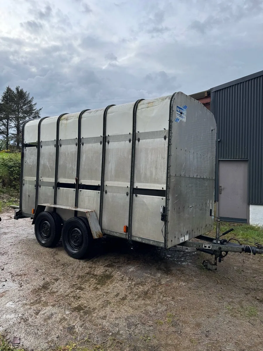 12 x 6.6 7 foot tall box - Image 1