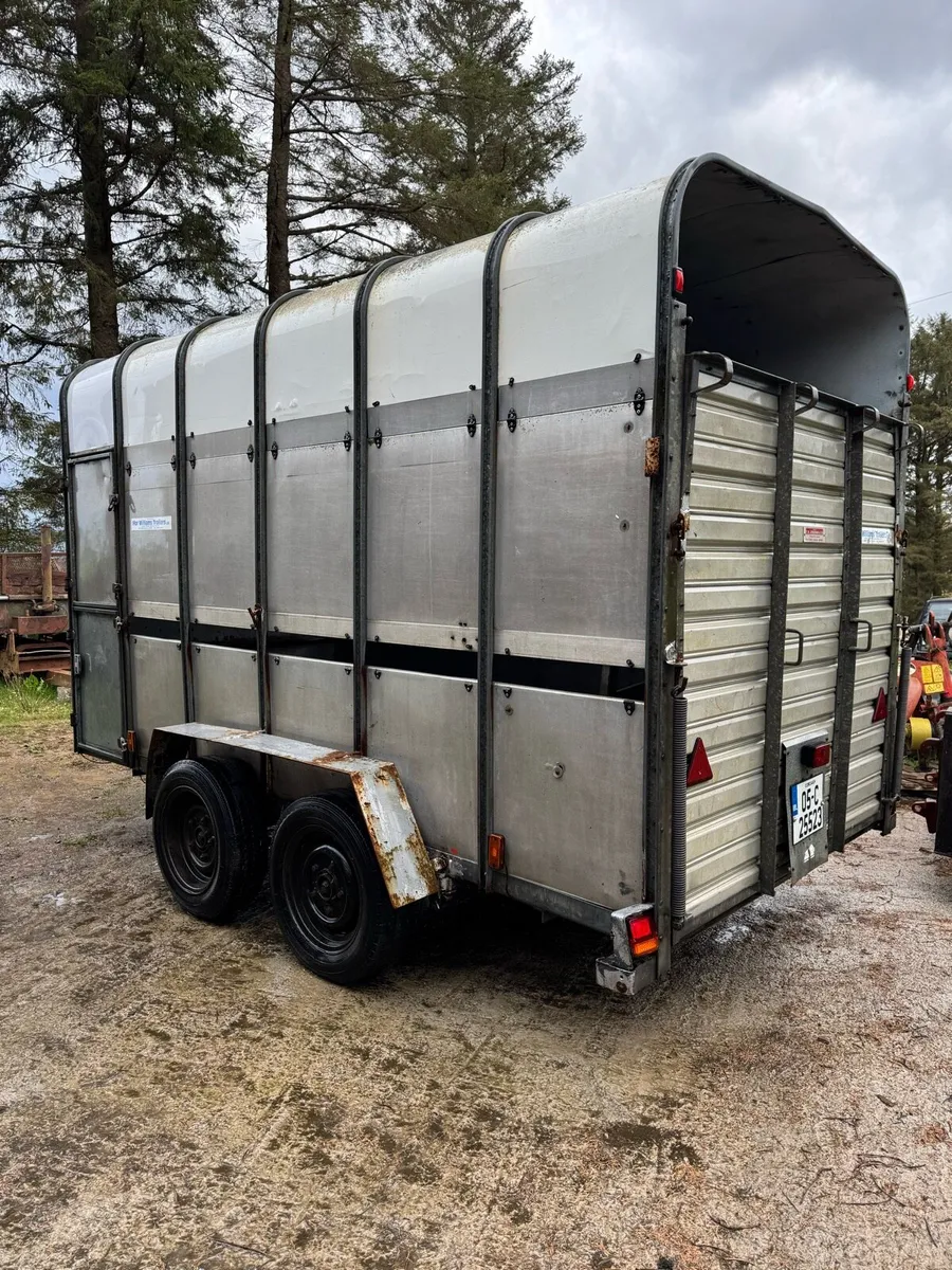 12 x 6.6 7 foot tall box - Image 3