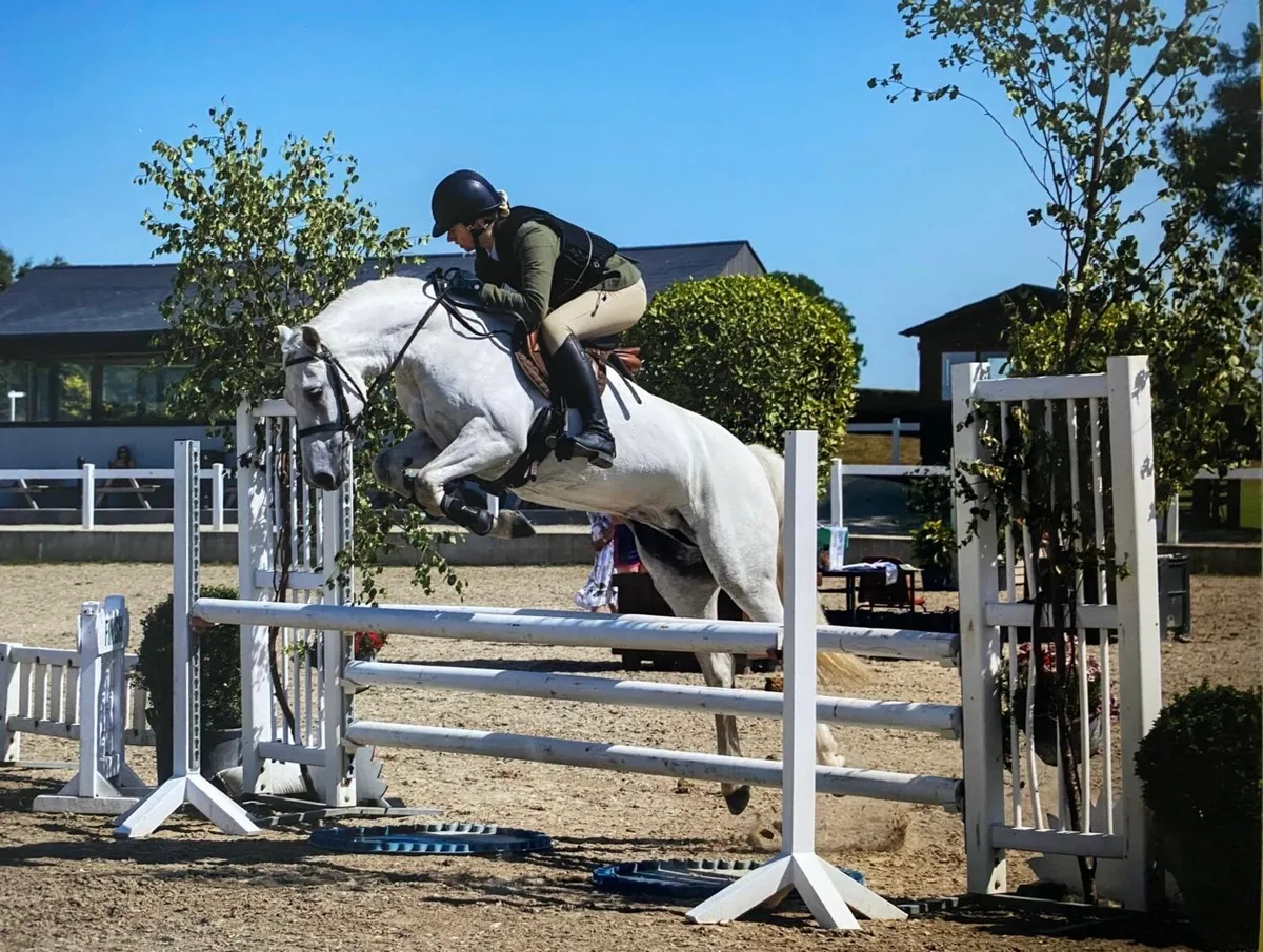 Lot 105 Cliften Friday 15 May - Image 3