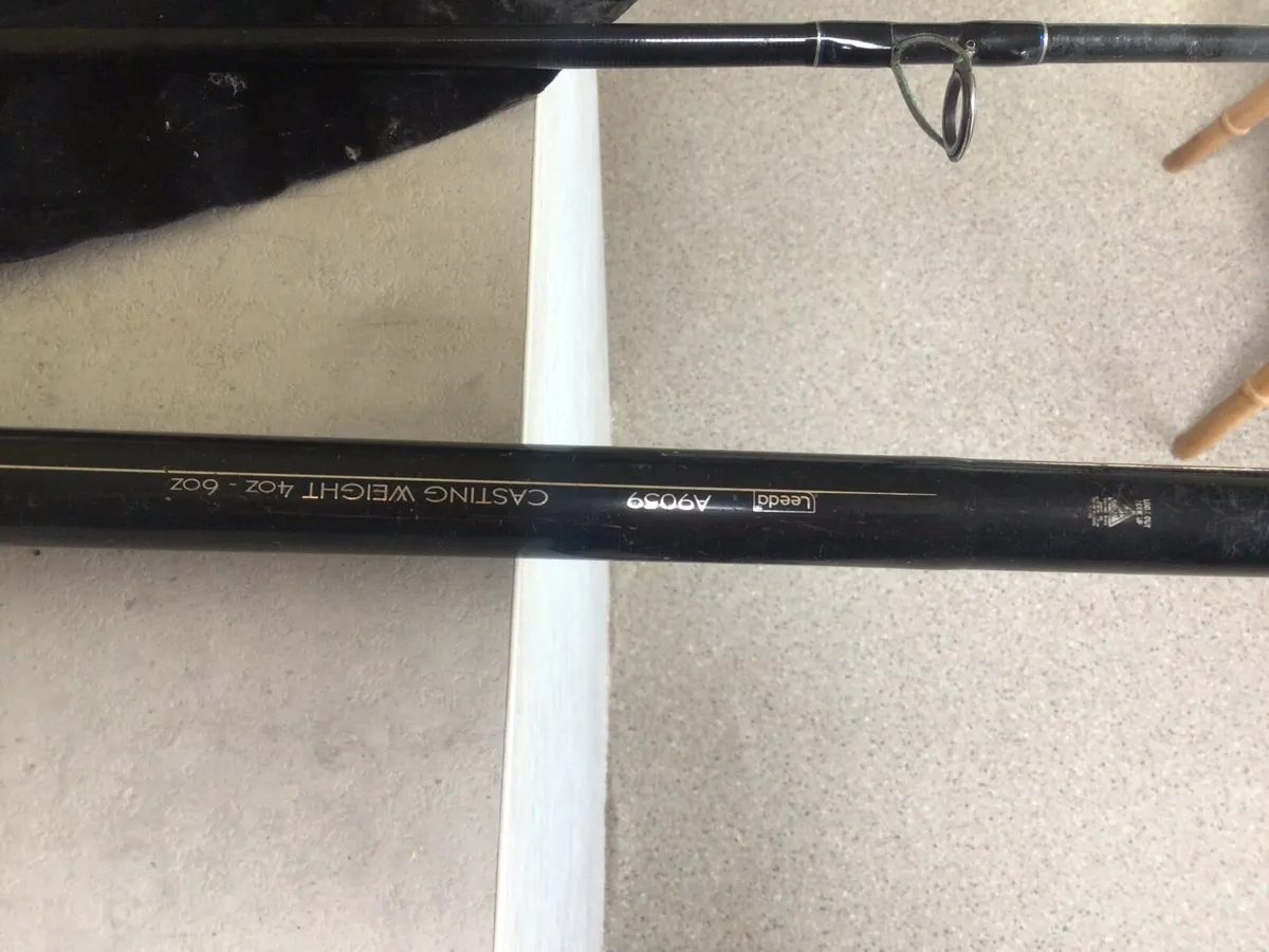 Beachcaster Rod - Image 3