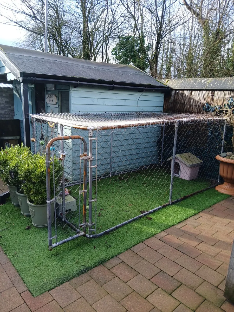 Dog pen - Image 1