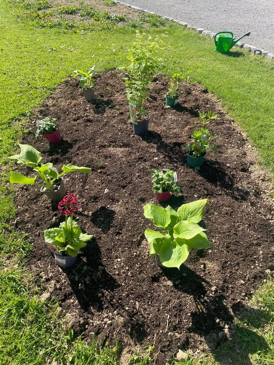Power washing,Garden maintenance, blockwork - Image 2