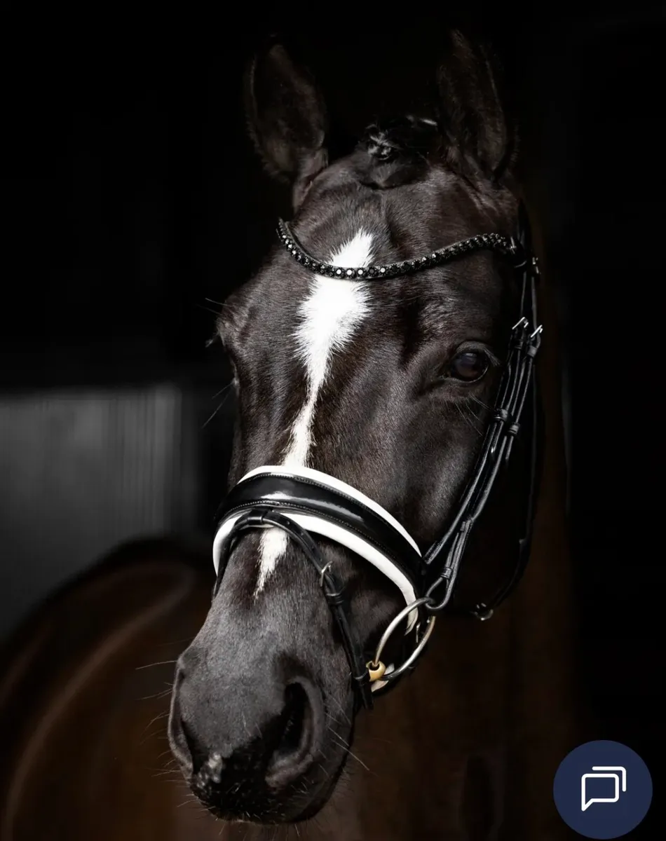Le Mieux Dressage Bridle as new - Image 1