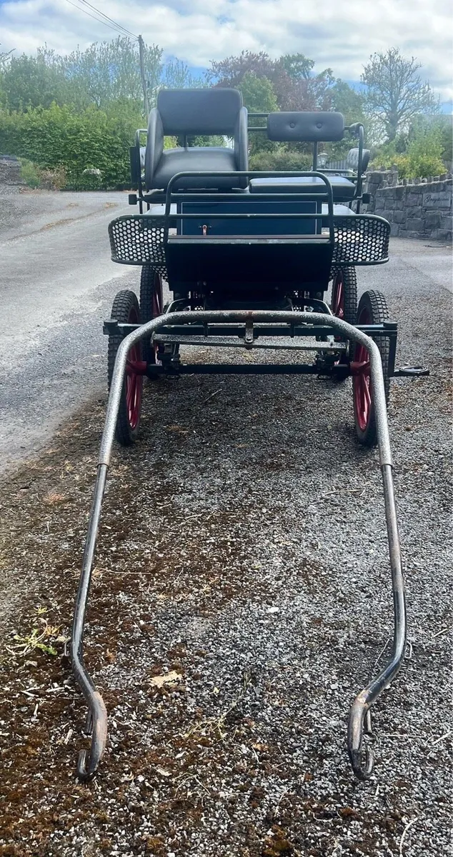 Pleasure Vehicle - Image 2