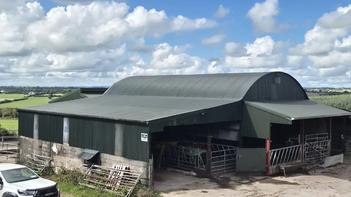 Cork Farm Painters & Shed Repairs - Image 3