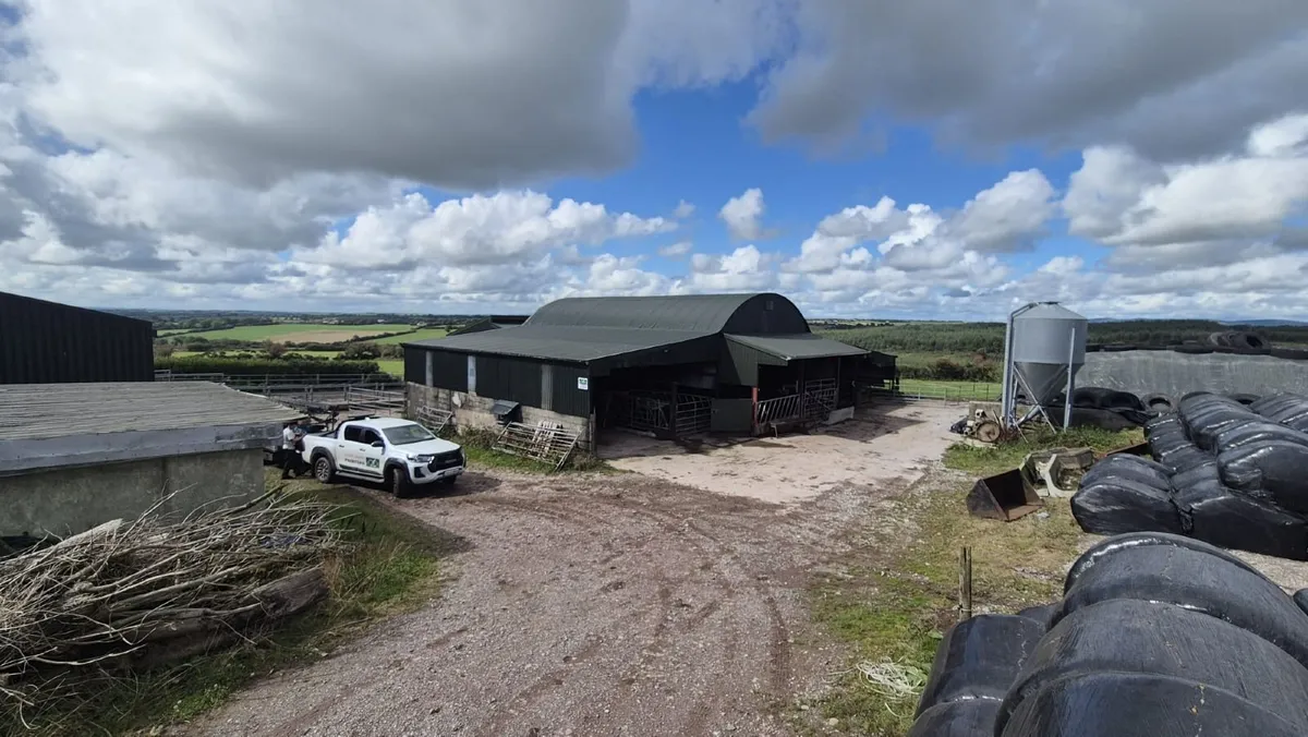Cork Farm Painters & Shed Repairs - Image 1