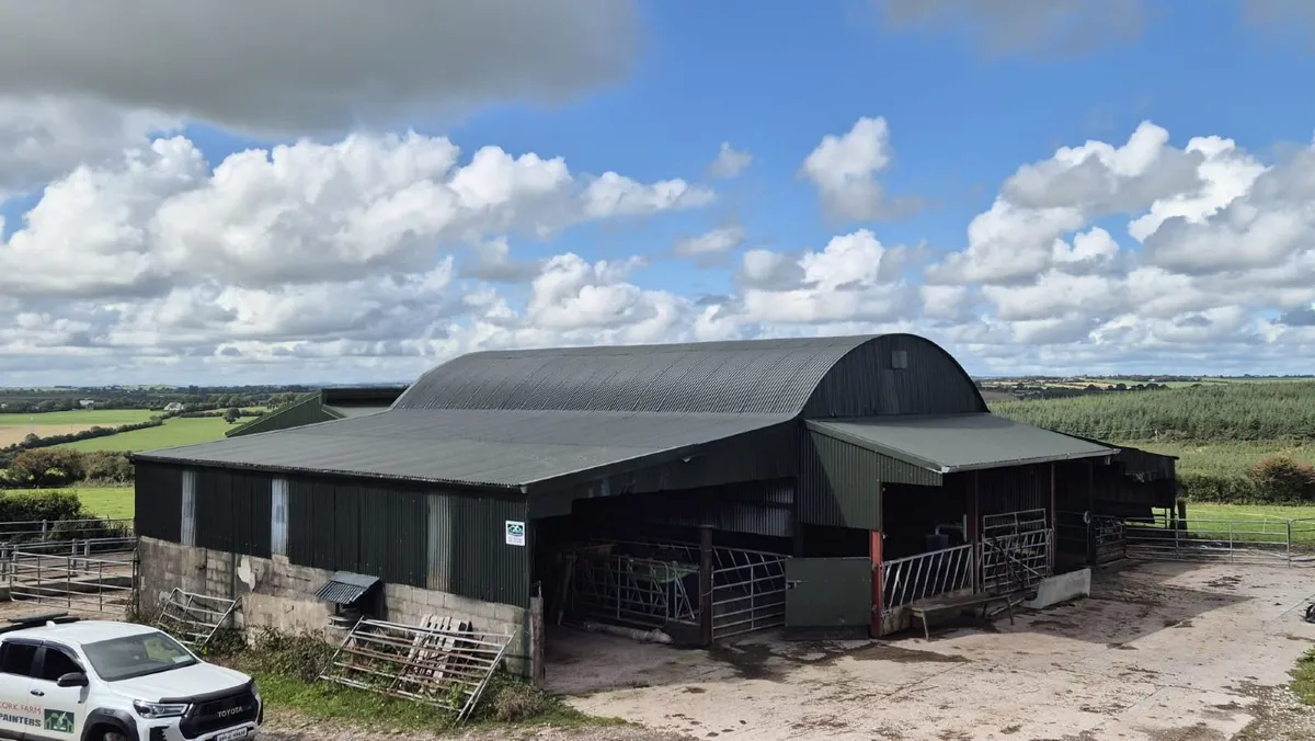 Cork Farm Painters & Shed Repairs - Image 2