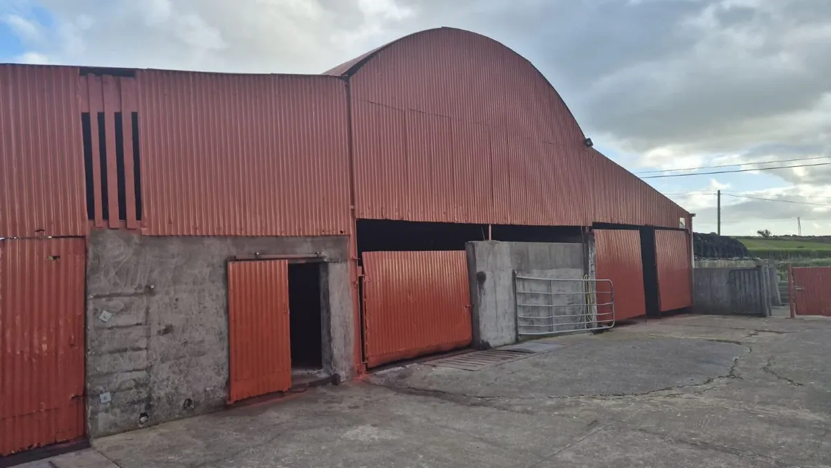 Cork Farm Painters & Shed Repairs - Image 4