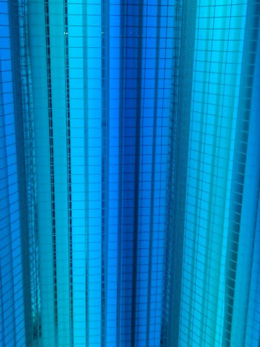 sunbed - Image 2