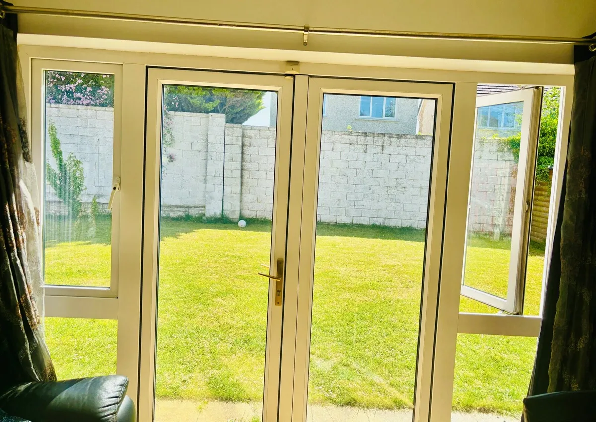 Patio double Door with windows - Image 1