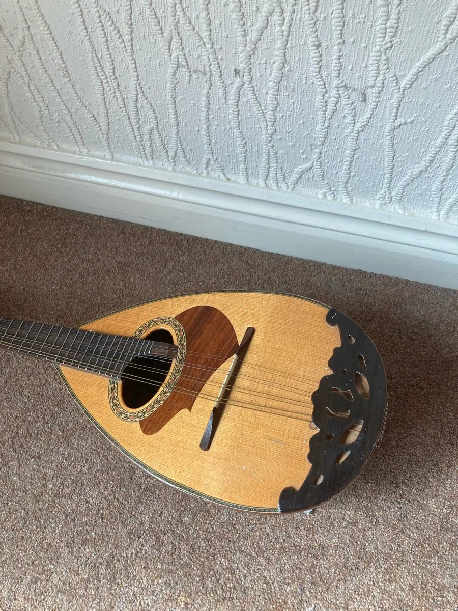 Suzuki Mandolin - Image 4
