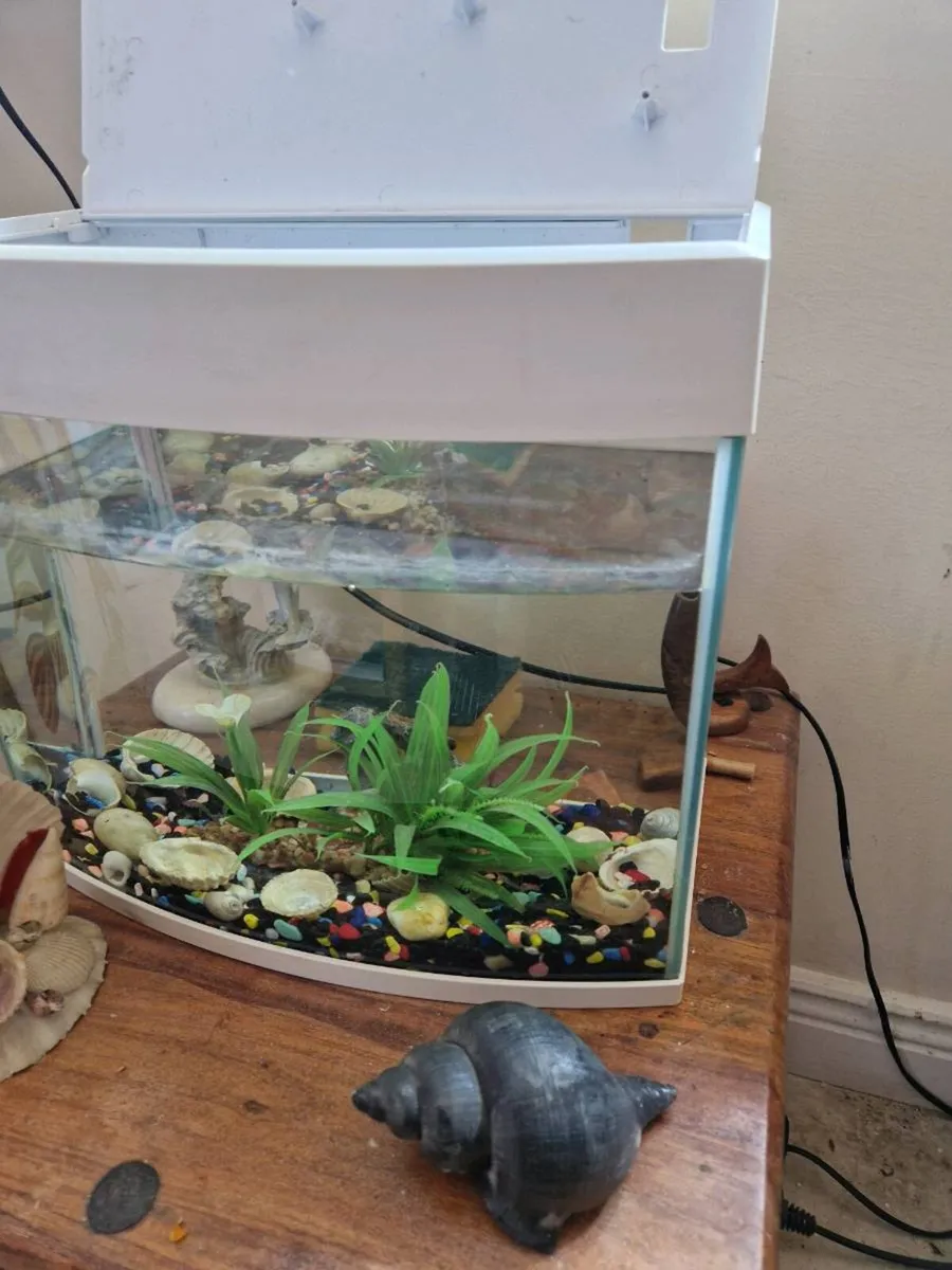 Fish tank - Image 1