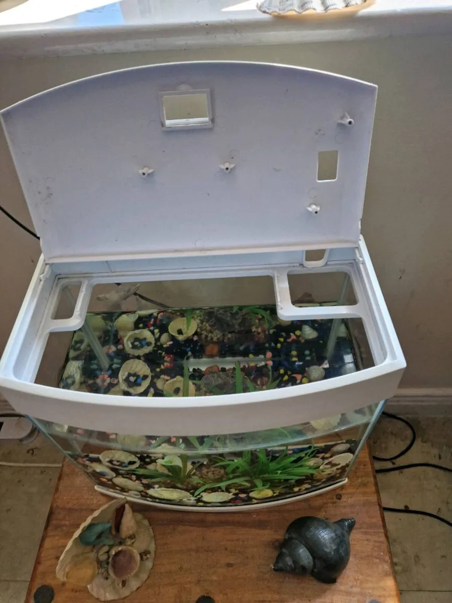 Fish tank - Image 2