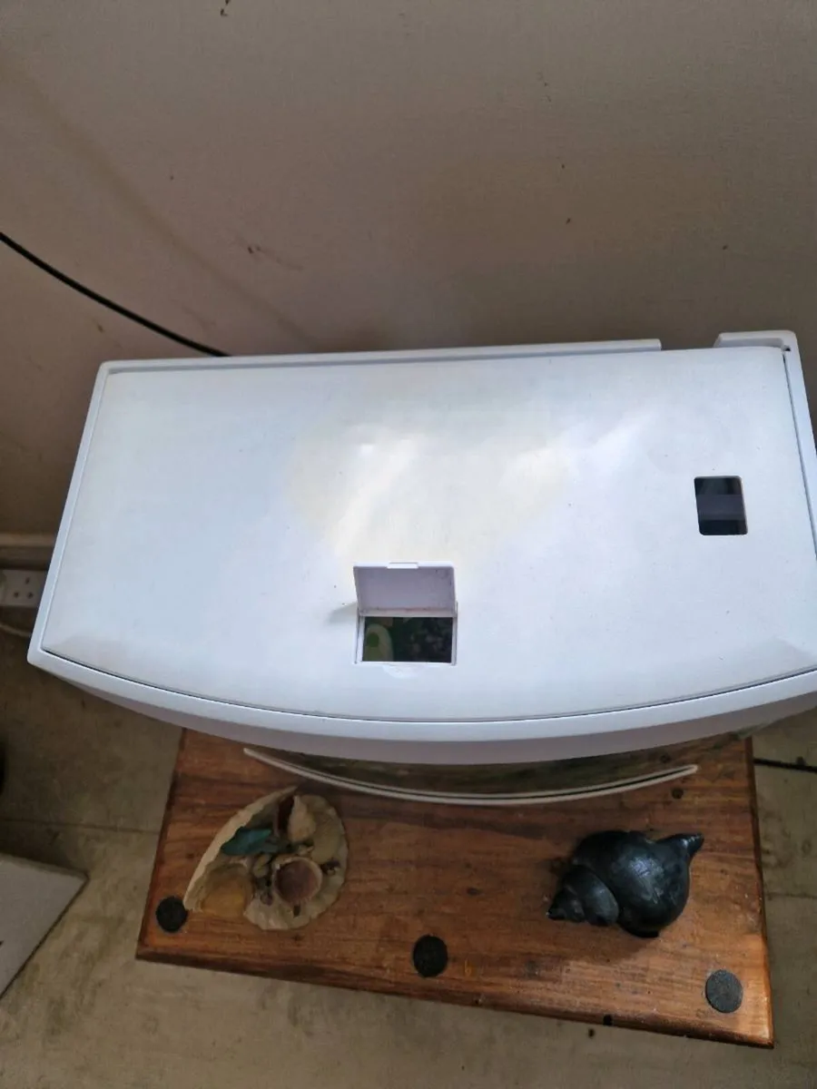 Fish tank - Image 3