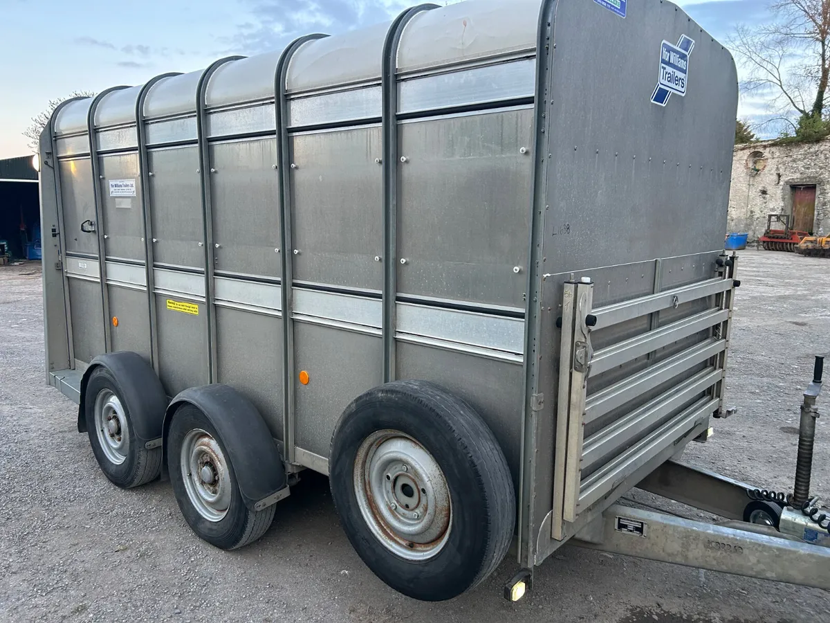 2019 Ifor Williams 12x6 with Sheep Decks - Image 4
